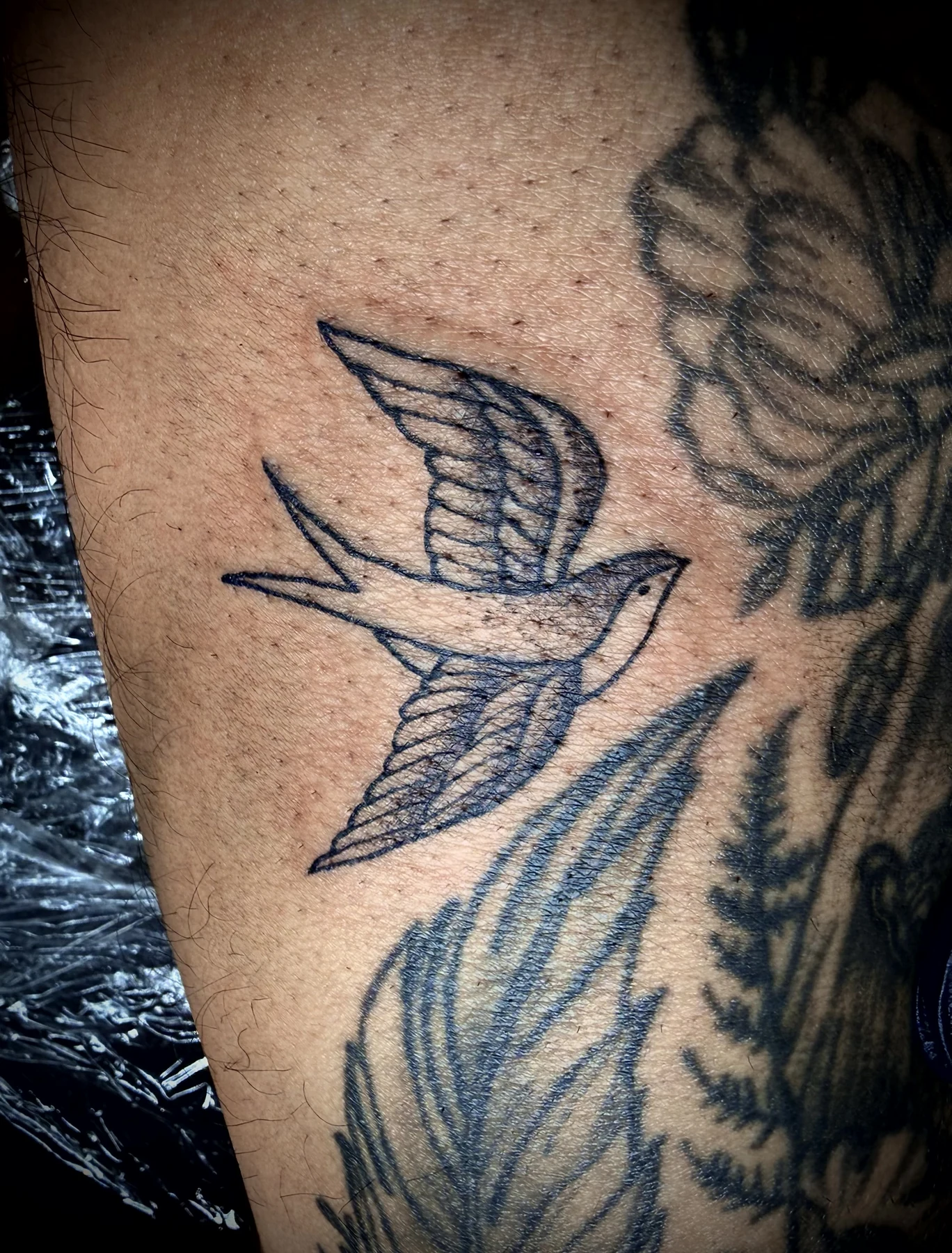 Fine line bird tattoo